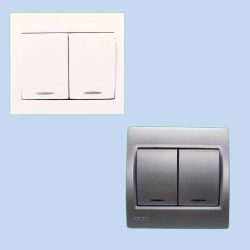 10A 1 Way 33.75 mm 2 Switch with Indicator with Cover Plate-p